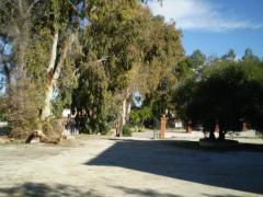 Se vende finca con restaurante y vivienda en Ronda