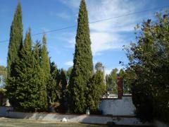 Se vende finca con restaurante y vivienda en Ronda